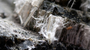 AdobeStock_398385152.jpg