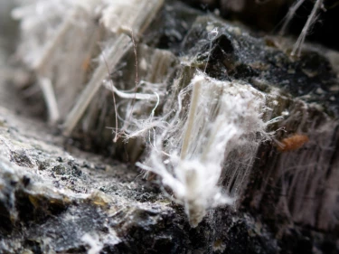Understanding The Health Effects of Asbestos