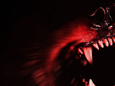 A dog baring its teeth — if it bites a person, dog bite lawyers may be needed.