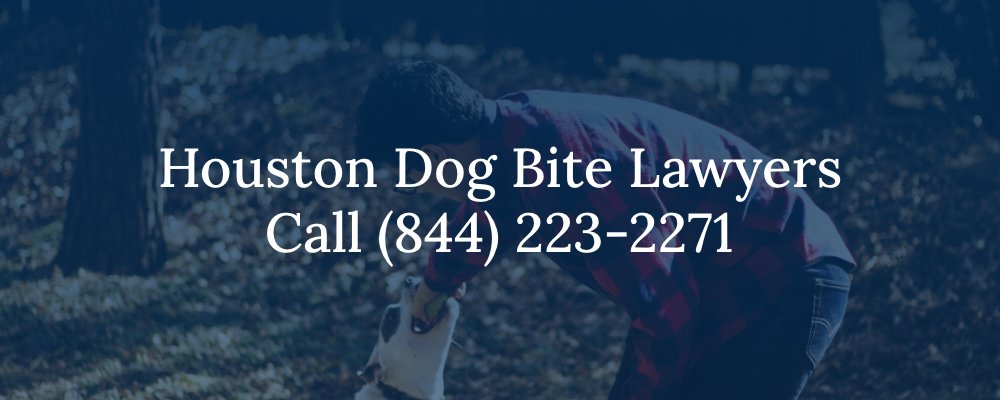 Houston Dog Bite Lawyers Call (844) 223-2271